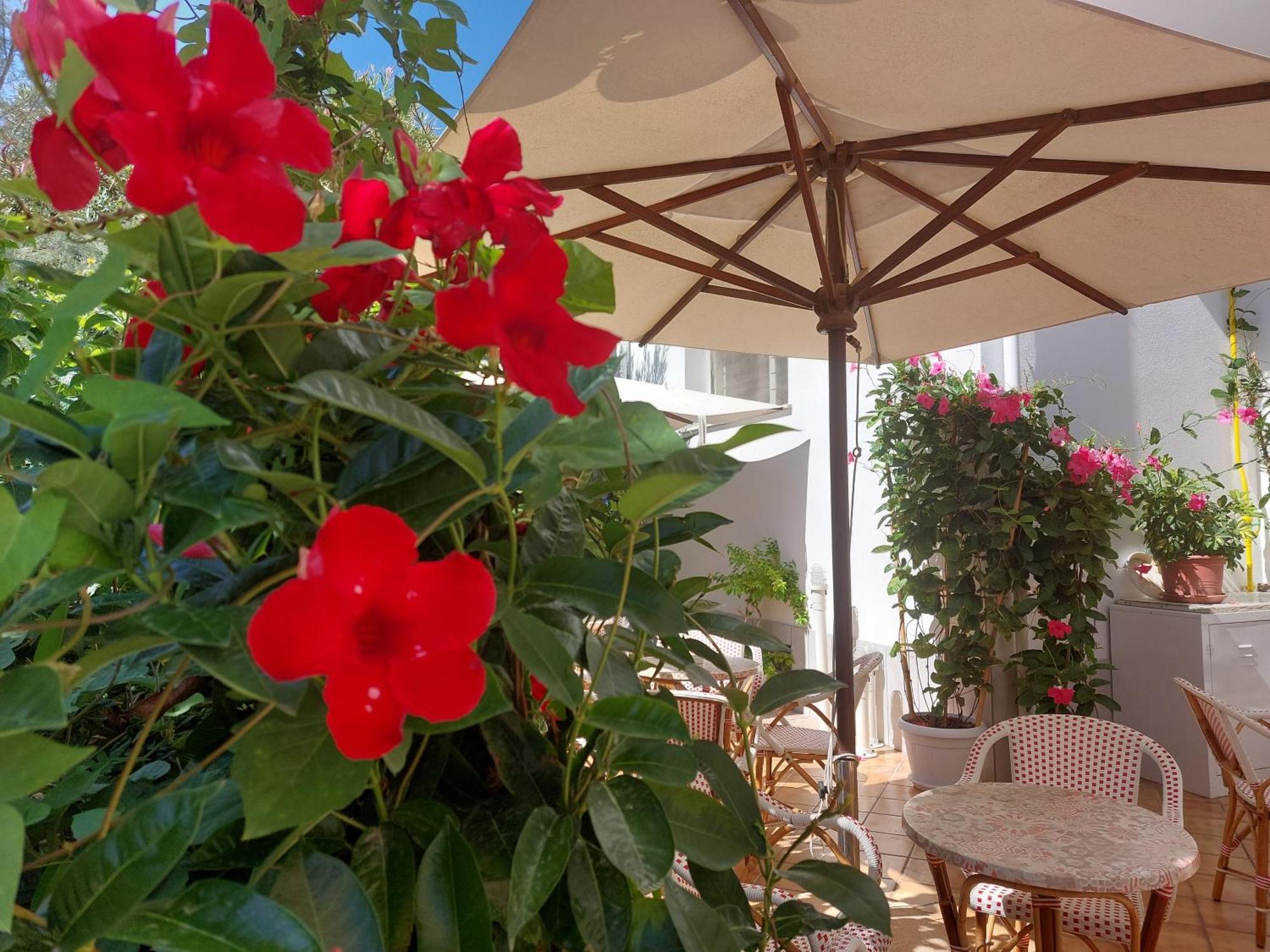 Hotel Driade Sul Mare Rimini Kültér fotó
